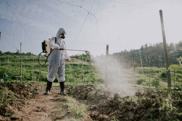 Best Affordable Pest Control Services  in Mdleton, ID