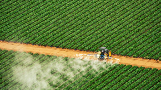 Reliable Middleton, ID Pest Control Solutions