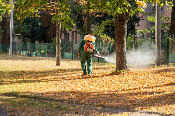 Best Wasp Removal Services  in Mdleton, ID